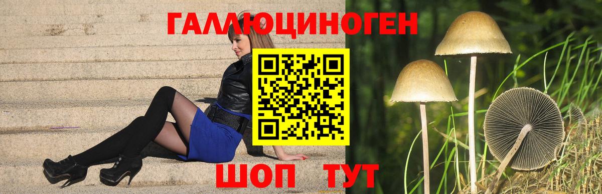 Галлюциногенные грибы ЛСД Кунгур